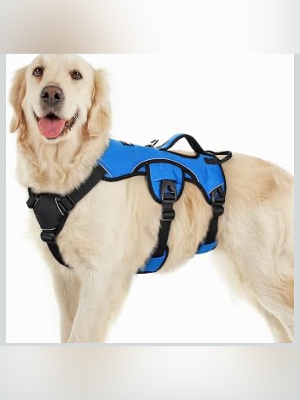Rabbitgoo Escape Proof Dog Harness, Soft Padded Full Body Pet Harness 2280/db-1